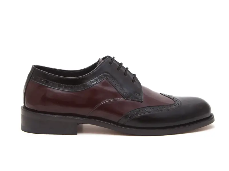 Siyah Bordo Açma Erkek Klasik Ayakkabı 3